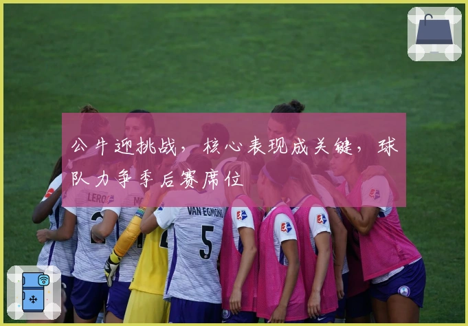 公牛迎挑战,核心表现成关键,球队力争季后赛席位